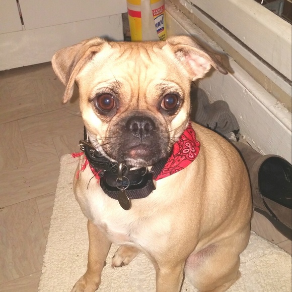 Meet your Posher, Linda - Picture 8 of 8